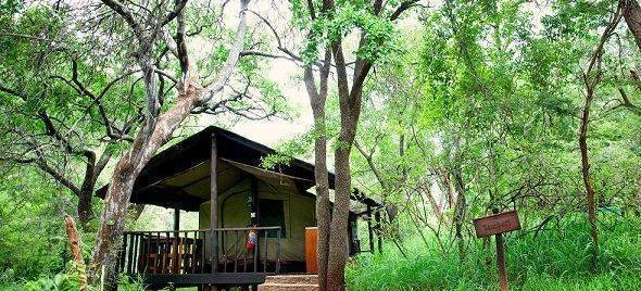 Tholo Tented Camp, Lydenburg, South Africa