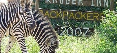 Kruger Inn Backpackers, Kruger National Park, South Africa